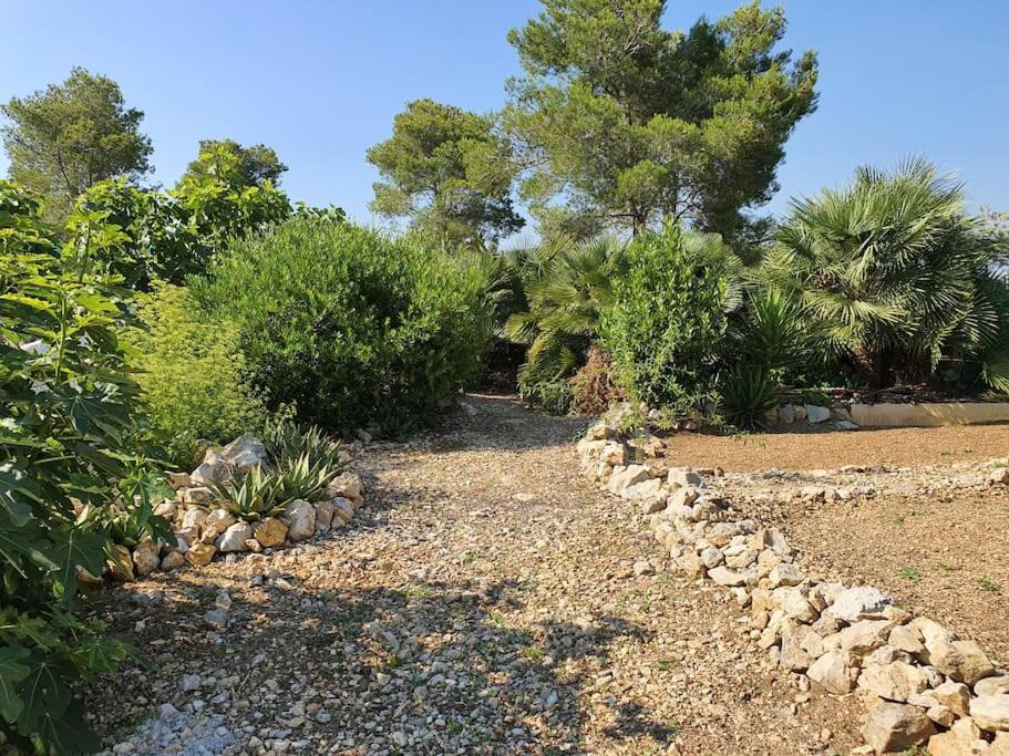 Le Petit Paradis Olivella Esterno foto