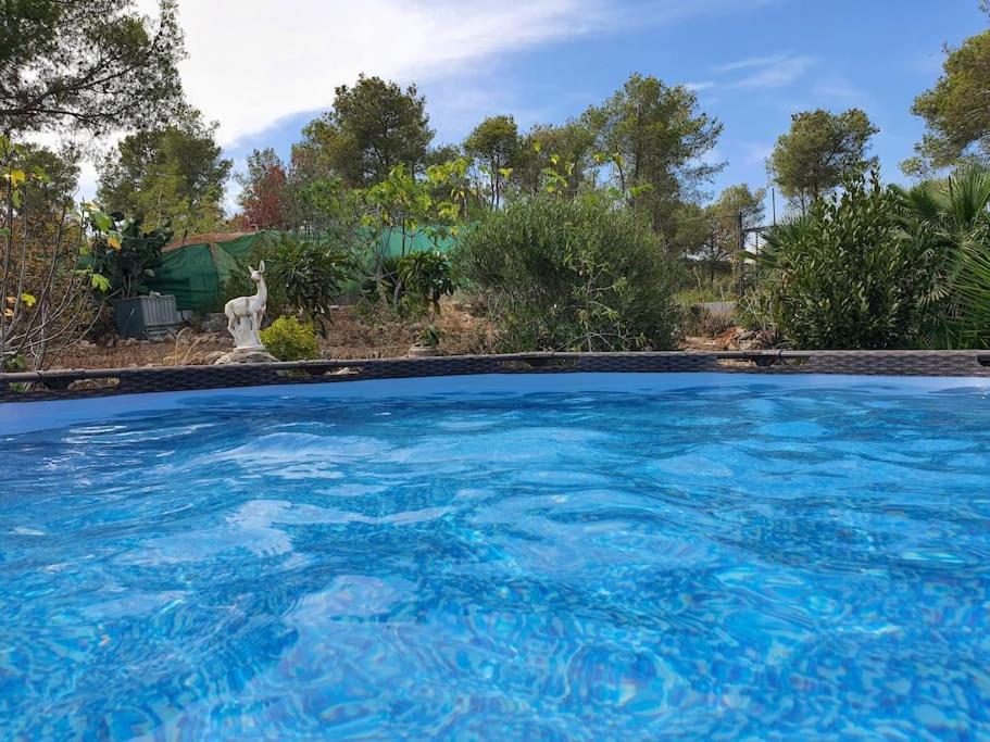 Le Petit Paradis Olivella Esterno foto