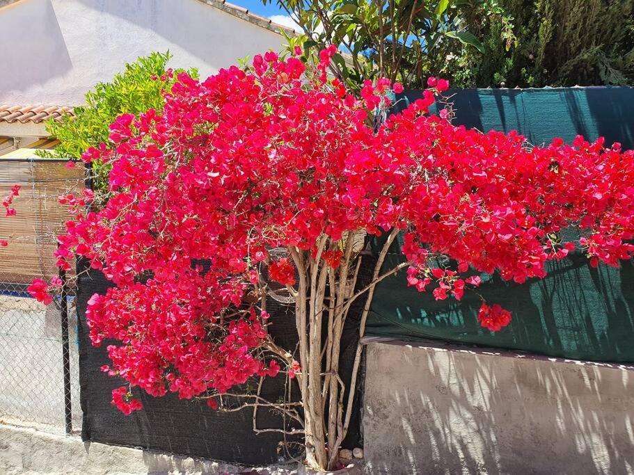Le Petit Paradis Olivella Esterno foto